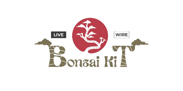 Live Wire Bonsai Kit